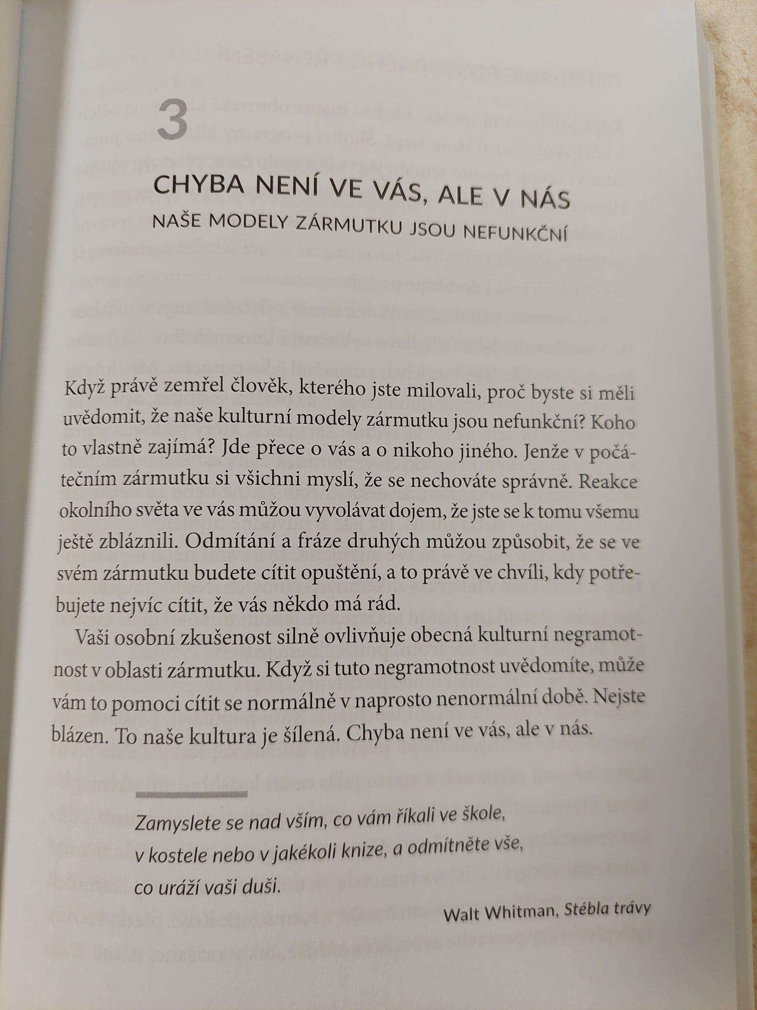 Je v pořádku, že nejsi v pořádku 1